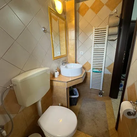 Forest View Apartment